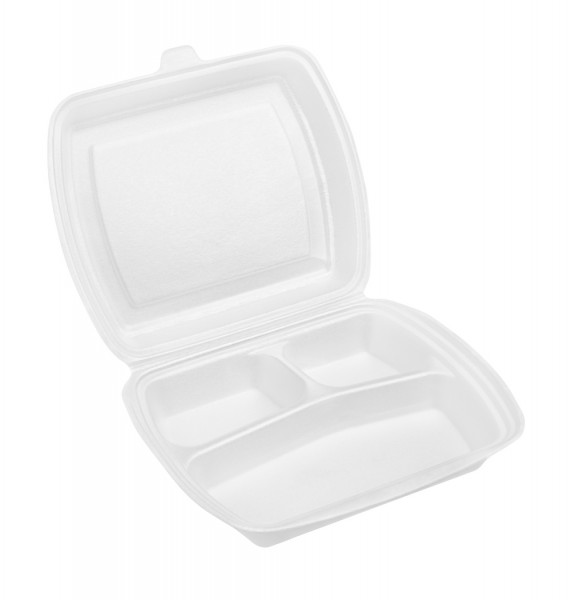 styrofoam take out2