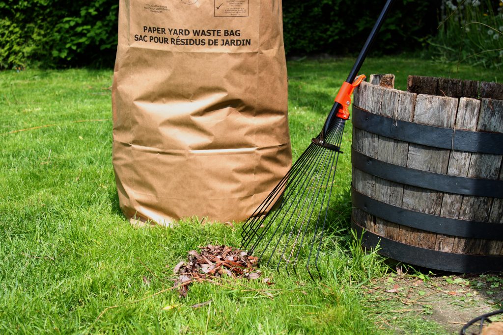 Yard Waste: What It Is and What to Do With It