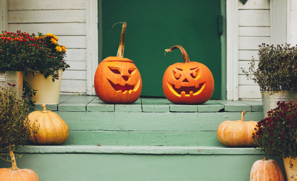 Pumpkins: Waste or Not?