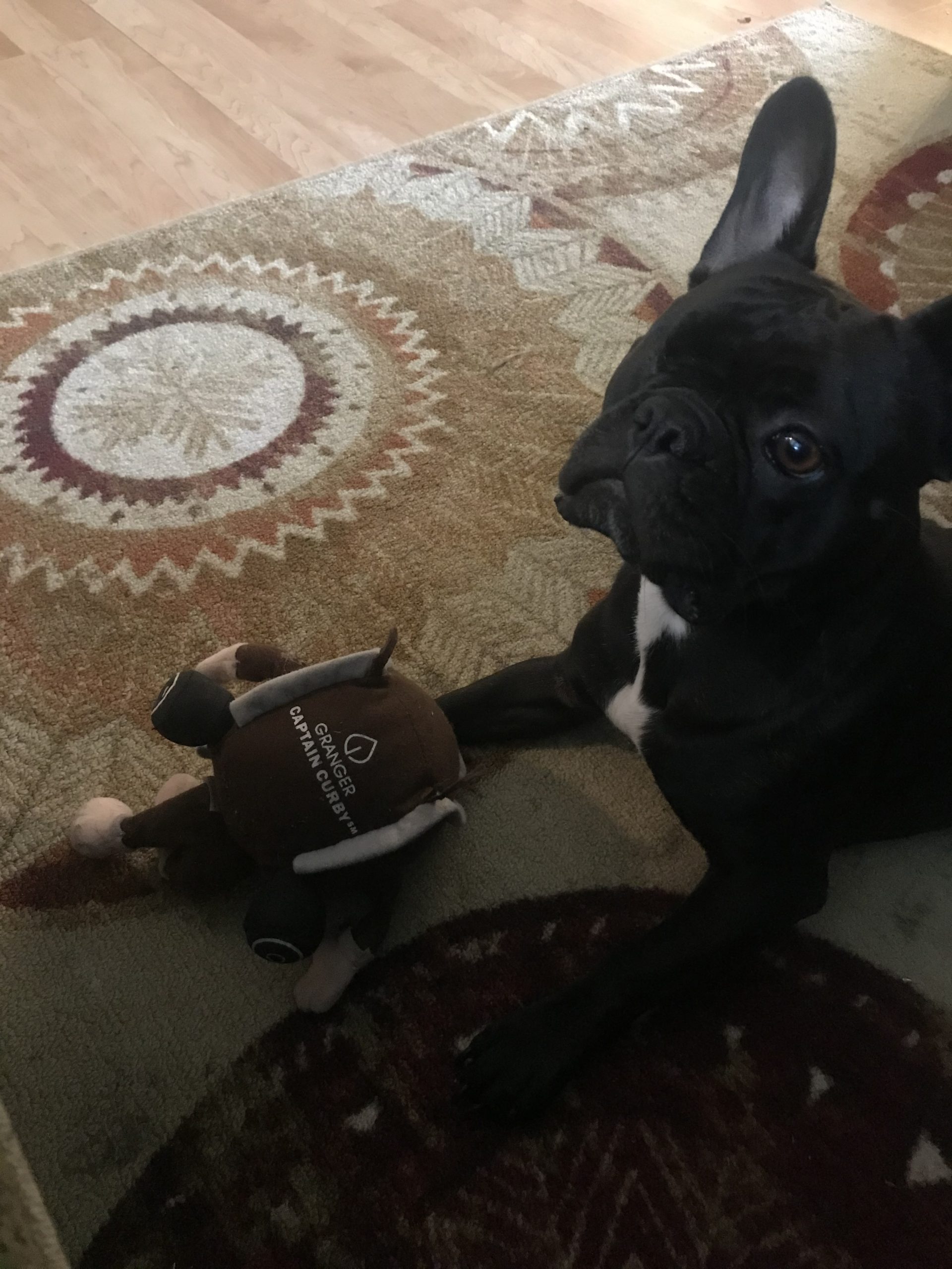 IMG_3641 Stella and Curby